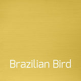 Brazilian Bird - Vintage-Vintage-Autentico Paint Online