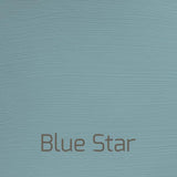 Blue Star - Vintage-Vintage-Autentico Paint Online